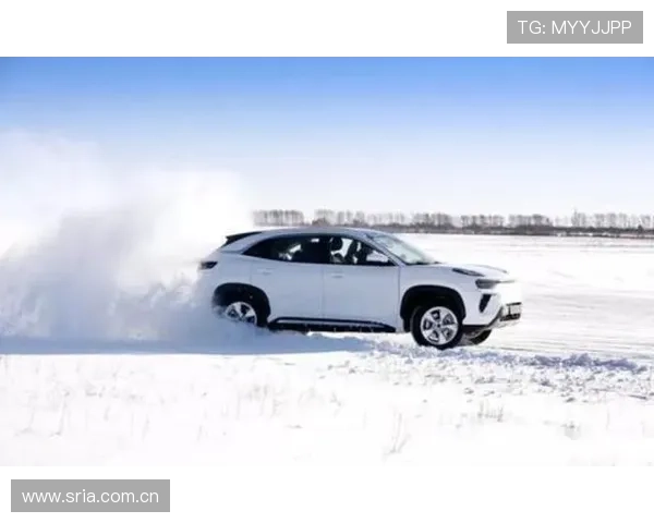 2.4亿元新能源补助金被核减 奇瑞汽车回应“没有违规行为”