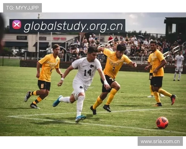 ✅体育直播🏆世界杯直播🏀NBA直播⚽- 西藏阿里：警民座谈 架起社情民意“连心桥”- sports