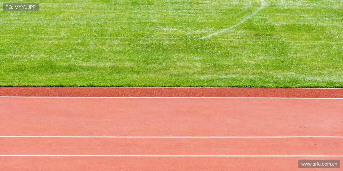 📺 实时解说，带你沉浸式感受赛场心跳！